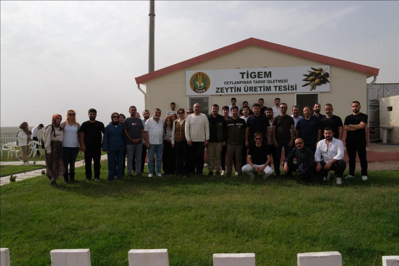fakultemizden-tigem-ceylanpinar-a-teknik-gezi